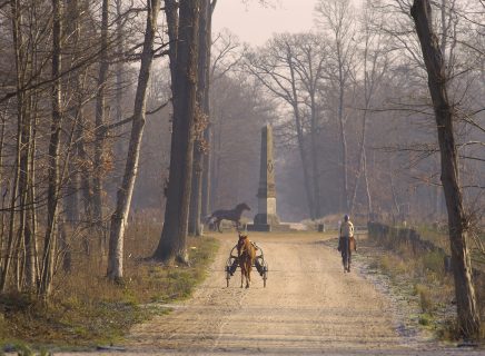 Photo: Christian RICHARD (Cheval Français)