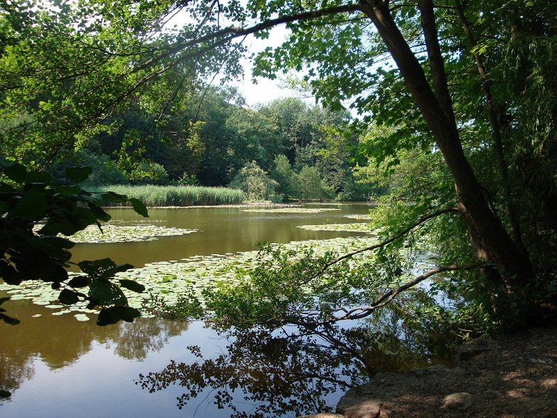 Etang de St Cucufa-Rueil Malmaison-napoleon