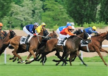 Hippodrome de Solle à Fontainebleau