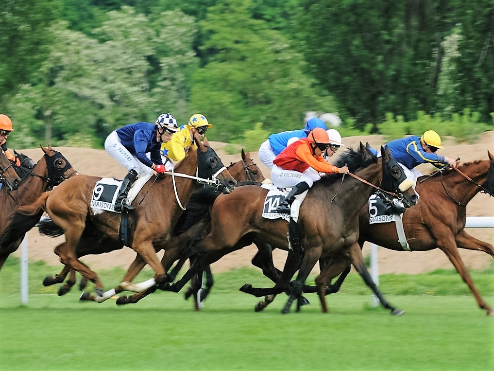 Hippodrome de Solle à Fontainebleau