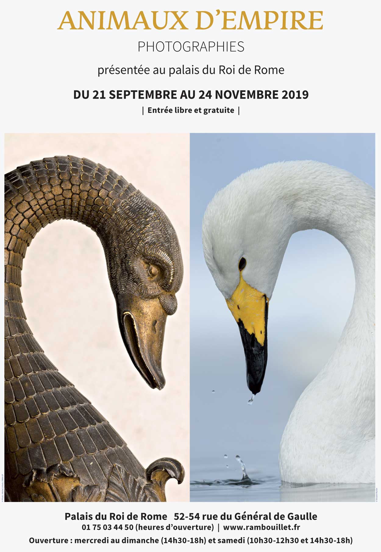 animaux-d_empire-rambouillet
